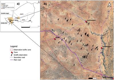 Diurnal activity and resting time allocation of the West African giraffe in an agropastoral human-dominated landscape